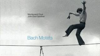 Bach  Motets  Gardiner  Monteverdi Choir [upl. by Eaver]