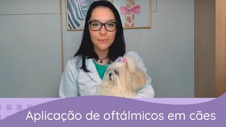 Medicamentos oftálmicos como aplicar no seu cachorro [upl. by Aneerbas250]