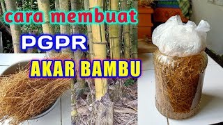 CARA MEMBUAT PGPR AKAR BAMBU [upl. by Schweitzer835]