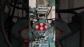 Startup Compressor Belliss WH28H3N belliss compressor [upl. by Elmina]