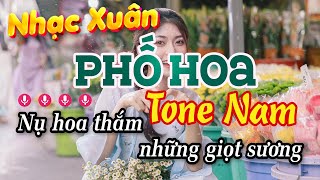 Karaoke Phố Hoa Tone Nam Nhạc Sống  Nhạc Tết 2024 Dễ Hát [upl. by Oeram]