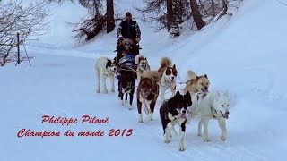 FRANCE Risoul 1850 Balade en traîneau avec des champions [upl. by Landre951]