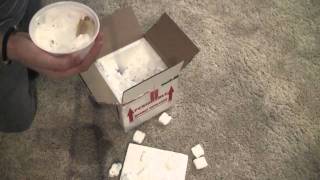 Leucistic Albino Lubino Red Eared Slider Unboxing [upl. by Innoc]