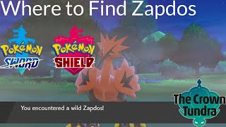 Pokemon Sword and Shield  Where to Find Zapdos [upl. by Monjo250]