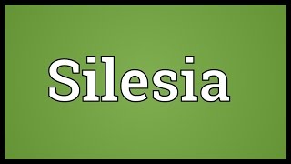 Silesia Meaning [upl. by Nahtonoj]