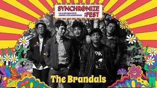 The Brandals LIVE  Synchronize Fest 2019 [upl. by Colinson]