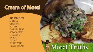 Morel Recipes Cream of Morel Mushroom the best way to cook your morels [upl. by Chessa79]