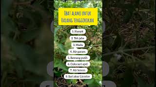 Obat alami radang tenggorokan 😱⁉️ tipshidupsehat tipsehatselalu healtylife radangtenggorokan [upl. by Yrrol]