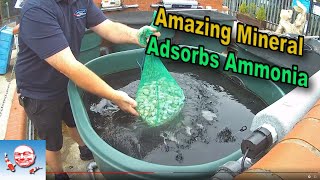 Amazing Mineral That Absorbs Ammonia [upl. by Assilem]