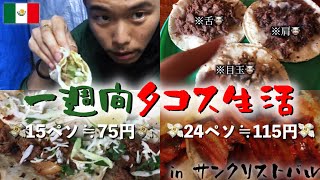 【幸せ】一週間タコス生活！食べまくっても飽きることのないバリエーションが本場メキシコの激安屋台タコスだ！in サンクリストバル《世界196ヶ国 制覇の旅》 [upl. by Yelnek237]