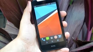 HTC Desire 310 Dual SIM Hands On Review [upl. by Aihsele]