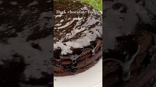 Dark chocolate fudge cake😋food shorts darkchocolate cake shortsfeed shortsviral shortsvideo [upl. by Vinnie]