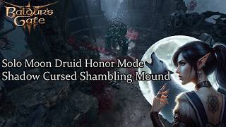 Solo Moon Druid Shadow Cursed Shambling Mound Honor Run [upl. by Noletta]