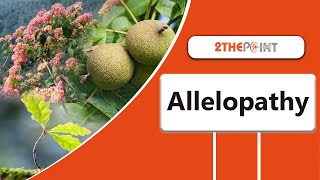 Allelopathy  Everything You Need To Know About it  2THEPOINT [upl. by Anitselec880]