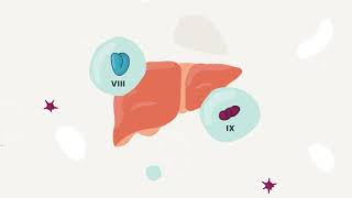 What is hemophilia [upl. by Oregolac285]