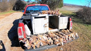 Rabbit Hunting Opening Day of James D Martin Management Area [upl. by Wojcik]