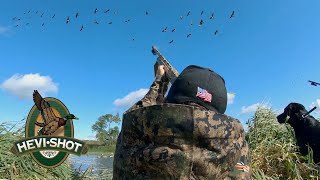 Goose Hunting Over Water Landing in the DECOYS [upl. by Diandra719]