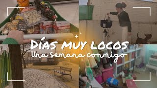 UNA SEMANA CONMIGO 💕 LLEGAN PAQUETES MUY CHULOS 🛍️ LIMPIEZA Y CAMBIOS EN EL VESTIDOR 👗DAILY VLOG [upl. by Eiramassenav309]