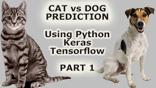 Image Classification with Keras Tensorflow  Cat Vs Dog Prediction  Convolution Neural Networks P1 [upl. by Oler]