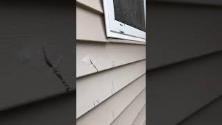 how to get dry paint off vinyl siding and asphalt shingle stains [upl. by Enrev]