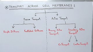 Transport across the Cell Membrane  Plasma Membrane  Active and Passive Transport [upl. by Er]