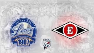 LICEY VS LEONES DEL ESCOGIDO EN VIVO [upl. by Cooperstein755]