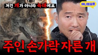 악마견 1부 주인 손가락이 잘렸다 레전드 악마견 등장에 결국 강형욱마저 포기 I KBS 개는 훌륭하다 240513 방송 [upl. by Linder]