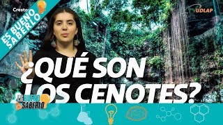 ¿Qué son los Cenotes  Es Bueno Saberlo [upl. by Iveson]