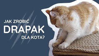 DIY Jak zrobić drapak dla kota [upl. by Huei951]