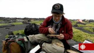 Découverte  LÎle de Surtsey [upl. by Yt]