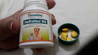 Himalaya Nefrotec DS VET TABLET [upl. by Avitzur721]