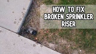 How to fix broken sprinkler riser DIY video diy sprinkler riser sprinklers leaking [upl. by Vacuva948]