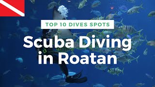 Top 10 Scuba Dives in Roatan [upl. by Stedt]