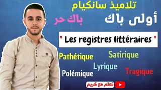 Les registres littéraires أحسن تقديم لدرس [upl. by Alleber]