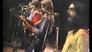 The Marshall Tucker Band 1973  Cant You See Live [upl. by Ayik]