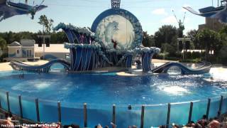 Blue Horizons Dolphin Show at SeaWorld Orlando [upl. by Trocki]