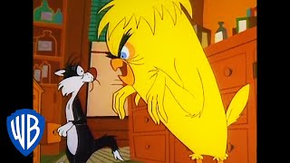 Looney Tunes  Tweety and Sylvester 19551959 Openings [upl. by Noleta]