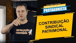 Contribuição Assistencial Patronal [upl. by Muldon]