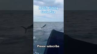 The Ultimate Marlin Fishing Adventure in Costa Rica guanacaste fishcostarica costaricafishing [upl. by Lugo283]