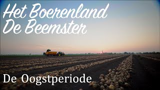 Het Boerenland de Beemster  De Oogstperiode deel 1 [upl. by Shirberg]