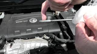 How to check the oil level on a Vauxhall Insignia 2014 CDTi 20 Diesel Auto [upl. by Vihs17]