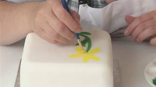 How To Paint On Your Fondant [upl. by Barvick20]