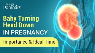 Baby Turning Head Down During Pregnancy  Importance Symptoms and When to Expect [upl. by Sinnal21]