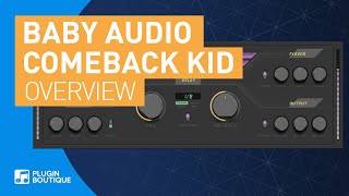 Comeback Kid by Baby Audio  Analog Flavour Delay VST Plugin  Tutorial amp Review of Main Features [upl. by Aihcrop]