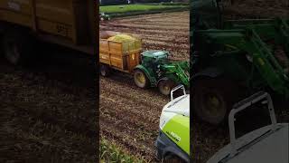 Maize Harvest 2024🚜 shorts johndeere claas maize viral drone [upl. by Eem]