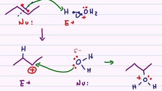 Hydration of Alkenes  Acid Catalyzed Reaction Mechanism [upl. by Kcirevam305]