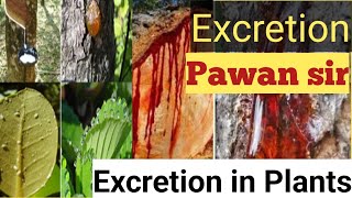 Excretion in plantsपौधों में उत्सर्जन cbse 10th topicPawan sir [upl. by Eatnoid565]