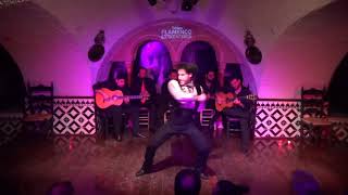 Fernando Jiménez Torres en Tablao Flamenco Cordobes [upl. by Ynabe]