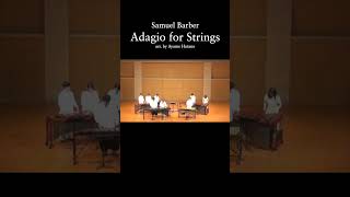 Adagio for Strings  Barber  弦楽のためのアダージョ  バーバー [upl. by Hnacogn934]