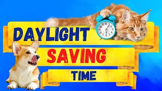 Daylight Saving Time for kids [upl. by Azral]